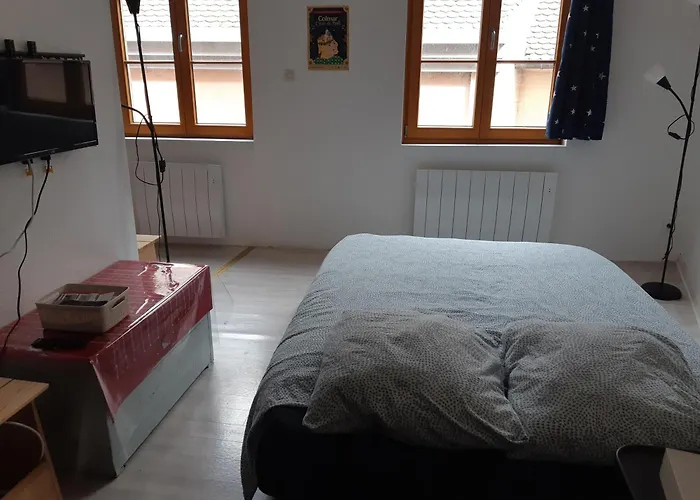 Lägenhet De Benedicte Mouton Colmar